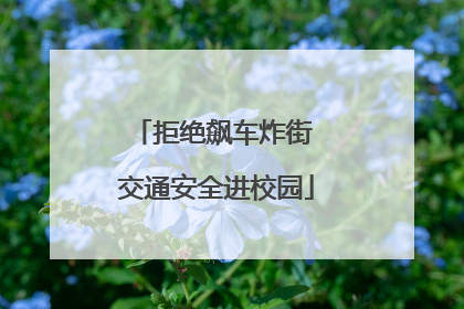 拒绝飙车炸街 交通安全进校园