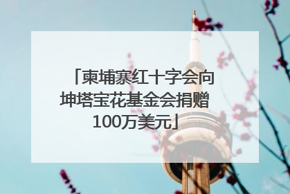 柬埔寨红十字会向坤塔宝花基金会捐赠100万美元