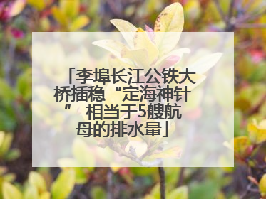 李埠长江公铁大桥插稳“定海神针” 相当于5艘航母的排水量
