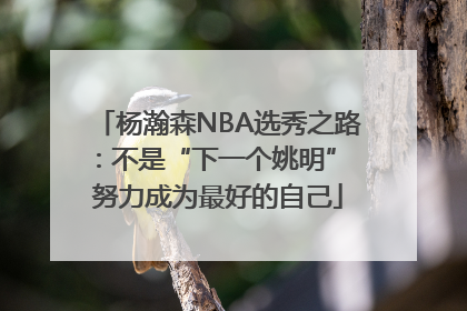 杨瀚森NBA选秀之路：不是“下一个姚明” 努力成为最好的自己