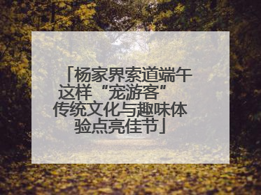 杨家界索道端午这样“宠游客” 传统文化与趣味体验点亮佳节