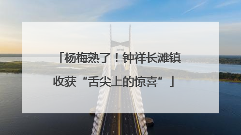 杨梅熟了！钟祥长滩镇收获“舌尖上的惊喜”