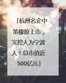 杭州名企中策橡胶上市，实控人为宁波人！总市值近500亿元