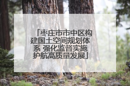 枣庄市市中区构建国土空间规划体系 强化监督实施护航高质量发展