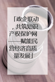 政企联动，共筑知识产权保护网——赋能民营经济高质量发展