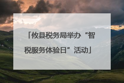 攸县税务局举办“智税服务体验日”活动