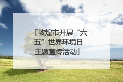 敦煌市开展“六·五”世界环境日主题宣传活动