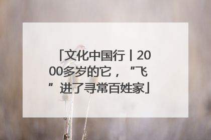 文化中国行丨2000多岁的它，“飞”进了寻常百姓家