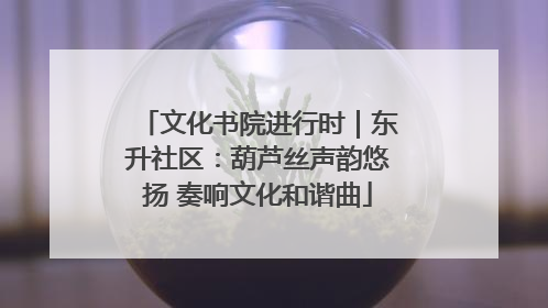 文化书院进行时｜东升社区：葫芦丝声韵悠扬 奏响文化和谐曲