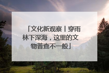 文化新观察丨穿雨林下深海，这里的文物普查不一般