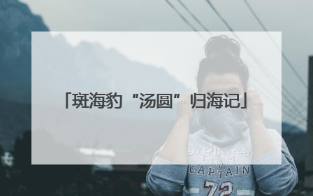 斑海豹“汤圆”归海记