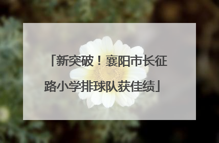 新突破！襄阳市长征路小学排球队获佳绩