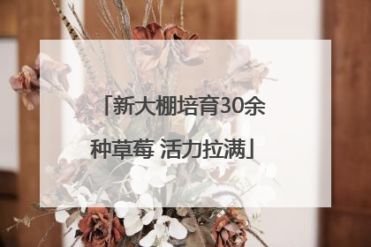 新大棚培育30余种草莓 活力拉满