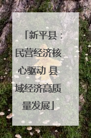 新平县：民营经济核心驱动 县域经济高质量发展