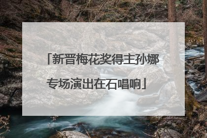 新晋梅花奖得主孙娜专场演出在石唱响
