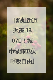 新虹街道拆违 1307㎡！城市绿肺重获呼吸自由