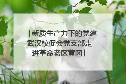 新质生产力下的党建 武汉校促会党支部走进革命老区黄冈