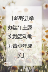 新野县举办端午主题实践活动助力青少年成长
