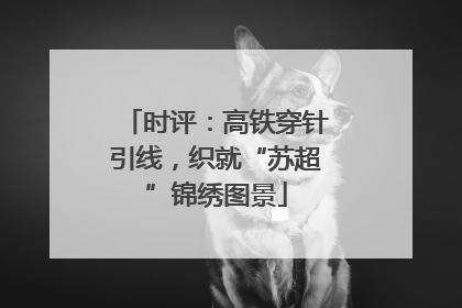 时评：高铁穿针引线，织就“苏超”锦绣图景