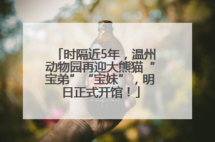时隔近5年，温州动物园再迎大熊猫“宝弟”“宝妹”，明日正式开馆！