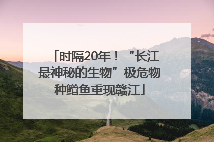 时隔20年！“长江最神秘的生物”极危物种鳤鱼重现赣江