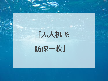 无人机飞防保丰收
