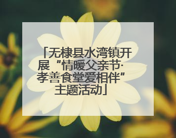 无棣县水湾镇开展“情暖父亲节·孝善食堂爱相伴”主题活动