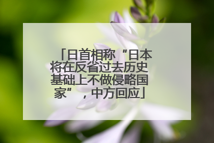 日首相称“日本将在反省过去历史基础上不做侵略国家”，中方回应