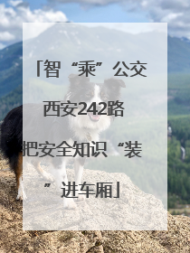 智“乘”公交 西安242路把安全知识“装”进车厢