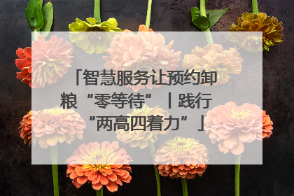 智慧服务让预约卸粮“零等待”丨践行“两高四着力”