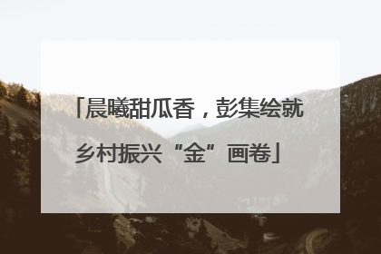 晨曦甜瓜香，彭集绘就乡村振兴“金”画卷
