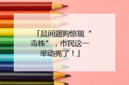 晨间遛狗惊现“毒株”，市民这一举动亮了！