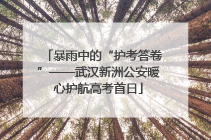 暴雨中的“护考答卷”——武汉新洲公安暖心护航高考首日