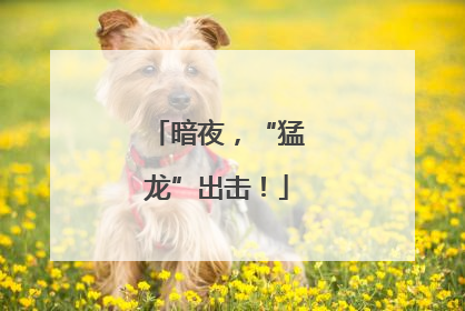 暗夜，“猛龙”出击！
