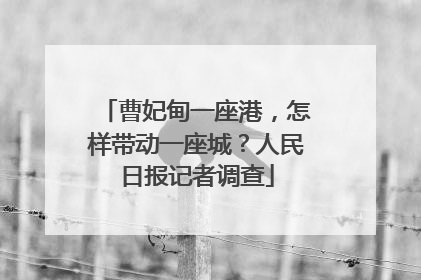 曹妃甸一座港，怎样带动一座城？人民日报记者调查
