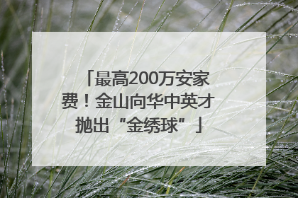 最高200万安家费！金山向华中英才抛出“金绣球”