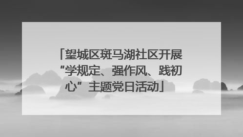望城区斑马湖社区开展“学规定、强作风、践初心”主题党日活动