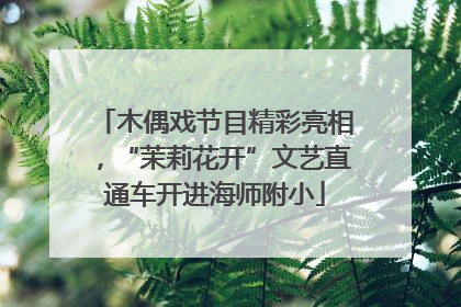 木偶戏节目精彩亮相，“茉莉花开”文艺直通车开进海师附小