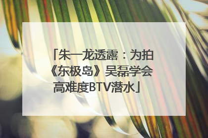 朱一龙透露：为拍《东极岛》吴磊学会高难度BTV潜水