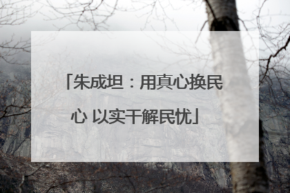 朱成坦：用真心换民心 以实干解民忧