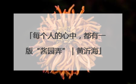 每个人的心中，都有一版“酱园弄”｜黄沂海