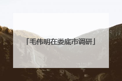 毛伟明在娄底市调研