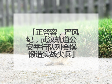 正警容，严风纪，武汉轨道公安举行队列会操锻造实战尖兵