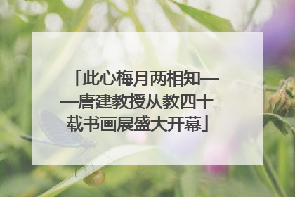 此心梅月两相知——唐建教授从教四十载书画展盛大开幕