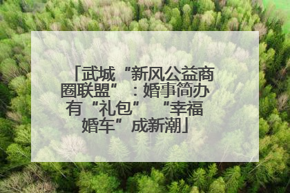 武城“新风公益商圈联盟”：婚事简办有“礼包” “幸福婚车”成新潮