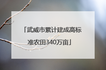 武威市累计建成高标准农田340万亩
