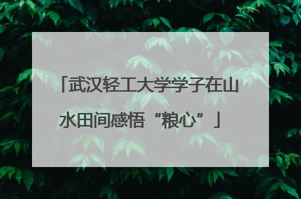 武汉轻工大学学子在山水田间感悟“粮心”