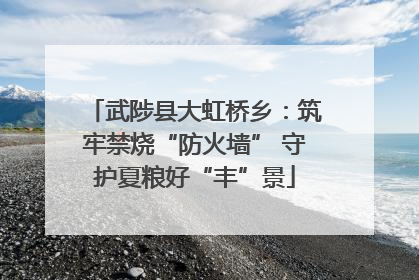 武陟县大虹桥乡：筑牢禁烧“防火墙” 守护夏粮好“丰”景
