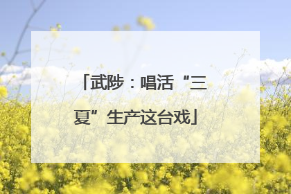 武陟：唱活“三夏”生产这台戏