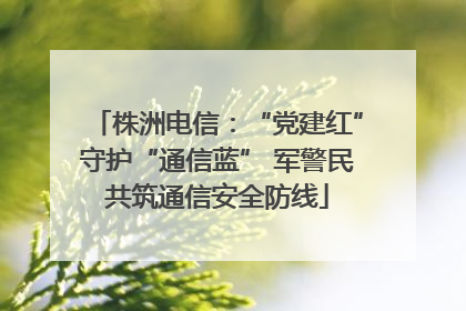 株洲电信：“党建红”守护“通信蓝” 军警民共筑通信安全防线